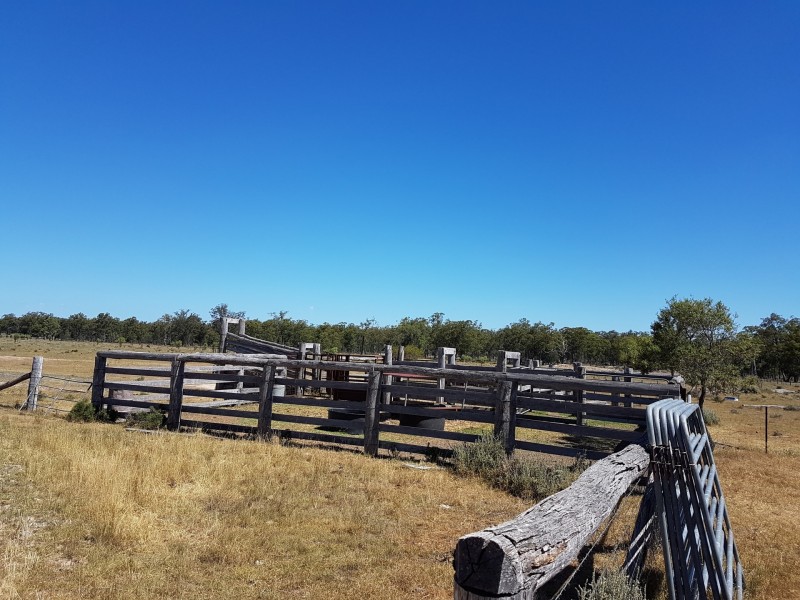 875 Tobacco Road, Inglewood QLD 4387