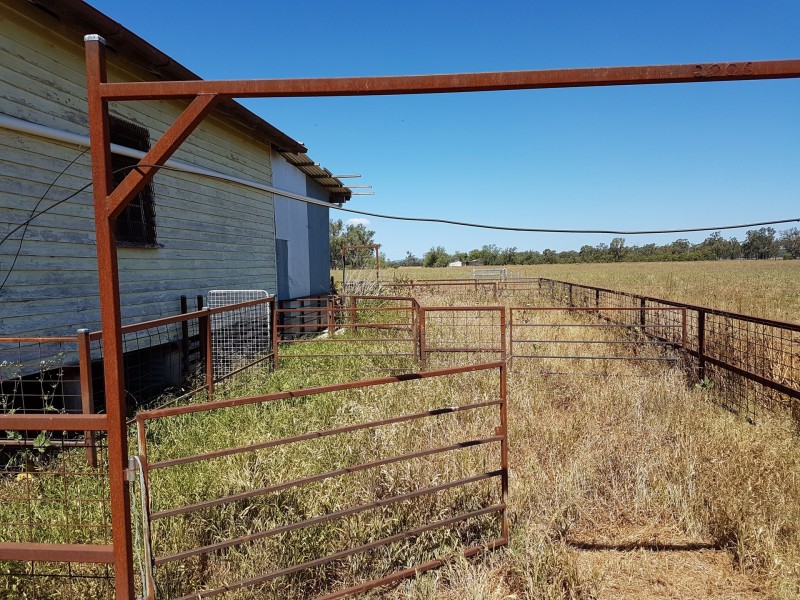 875 Tobacco Road, Inglewood QLD 4387