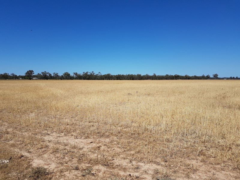 875 Tobacco Road, Inglewood QLD 4387