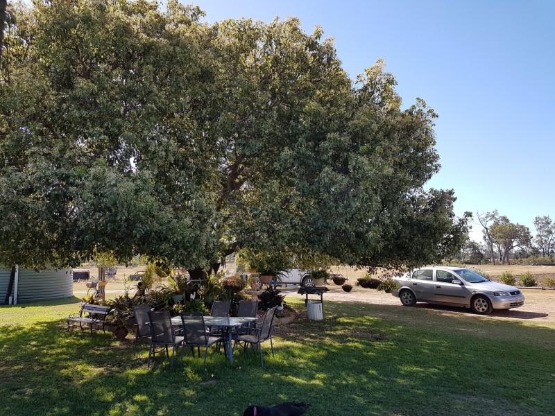 817 Tobacco Road, Inglewood QLD 4387