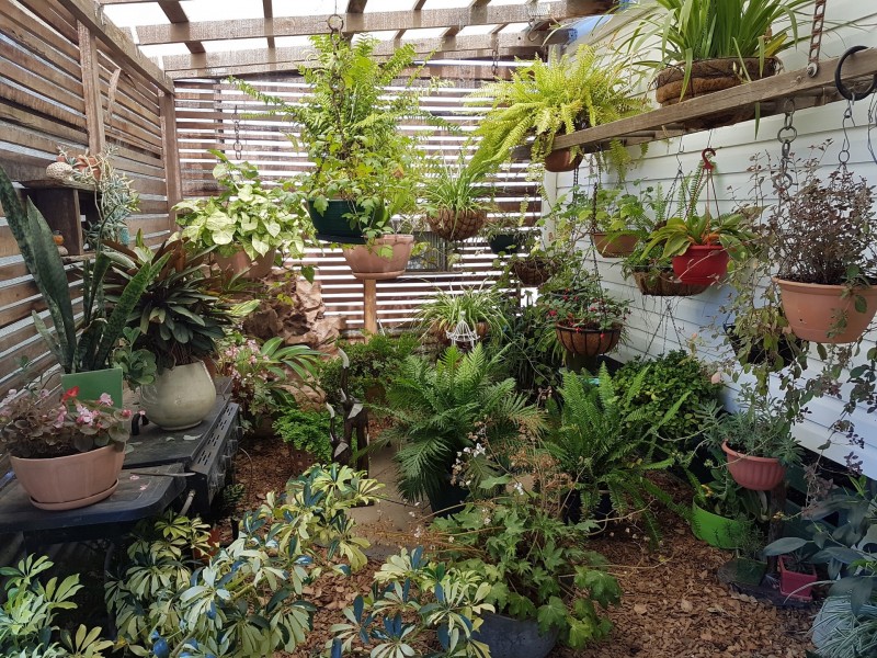 817 Tobacco Road, Inglewood QLD 4387