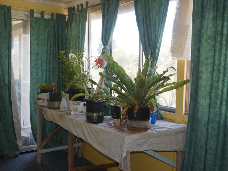 519 Yangan – Killarney Road, Emu Vale QLD 4371