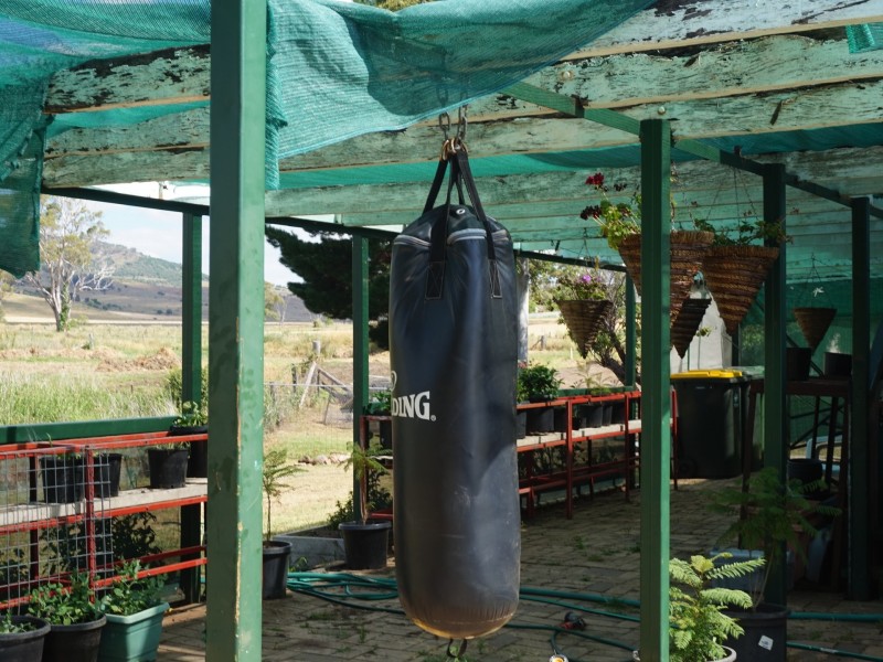 519 Yangan – Killarney Road, Emu Vale QLD 4371