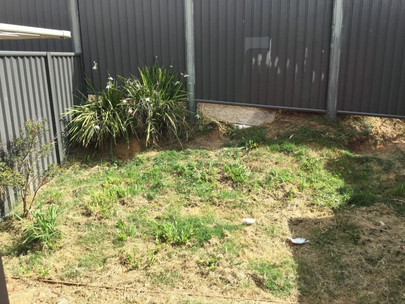 1/1 Natalia Court, Warwick QLD 4370