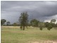 33 Hendon Deuchar Road Deuchar, Warwick QLD 4370