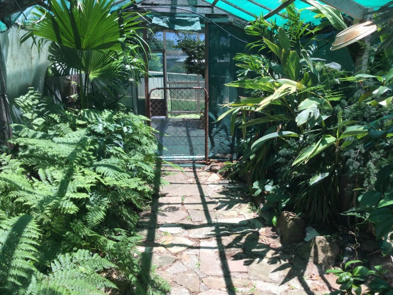 124 Locke Street, Warwick QLD 4370