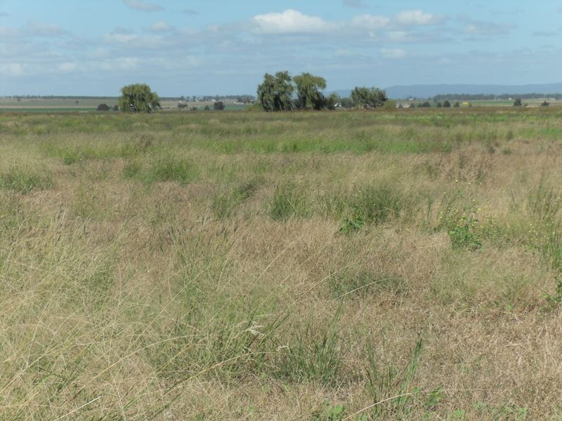Block 1 Howard Road, Swan Creek NSW 2462