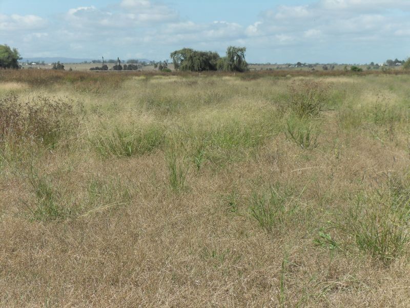 Block 1 Howard Road, Swan Creek NSW 2462