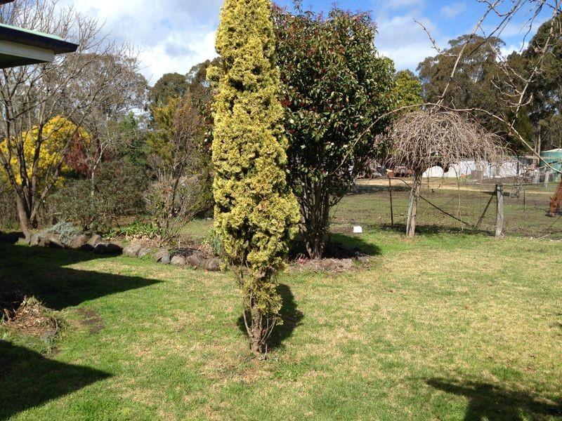 80b Tooloom Street, Legume NSW 2476