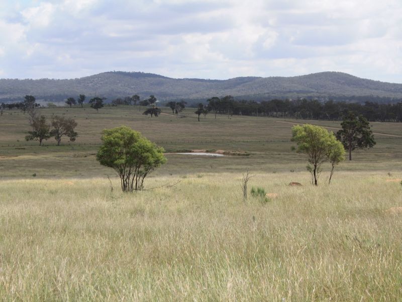 Warwick QLD 4370