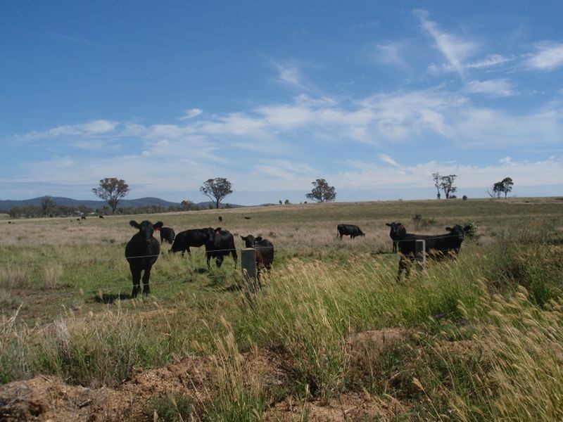 Warwick QLD 4370
