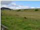 Lot 1 Winterflood Road, Killarney QLD 4373