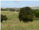 Lot 1 Winterflood Road, Killarney QLD 4373