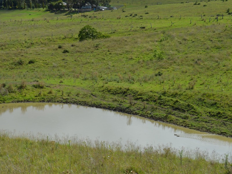 Lot 1 Winterflood Road, Killarney QLD 4373