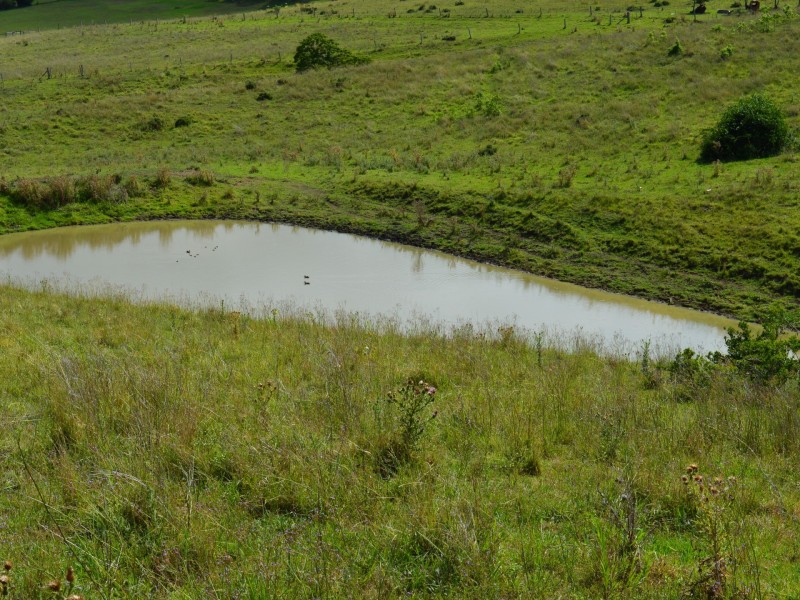 Lot 1 Winterflood Road, Killarney QLD 4373