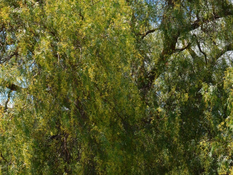 Lot 1 Winterflood Road, Killarney QLD 4373