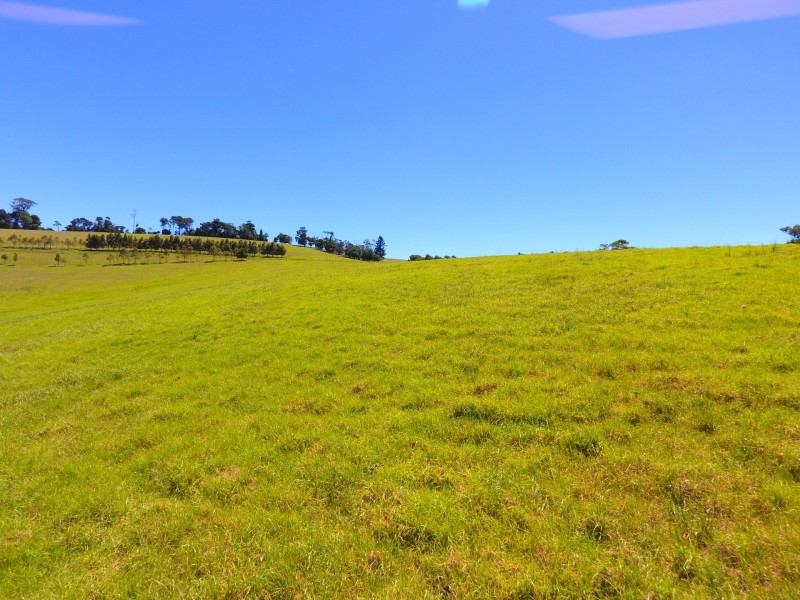 72 Goulds Falls Road, Killarney QLD 4373