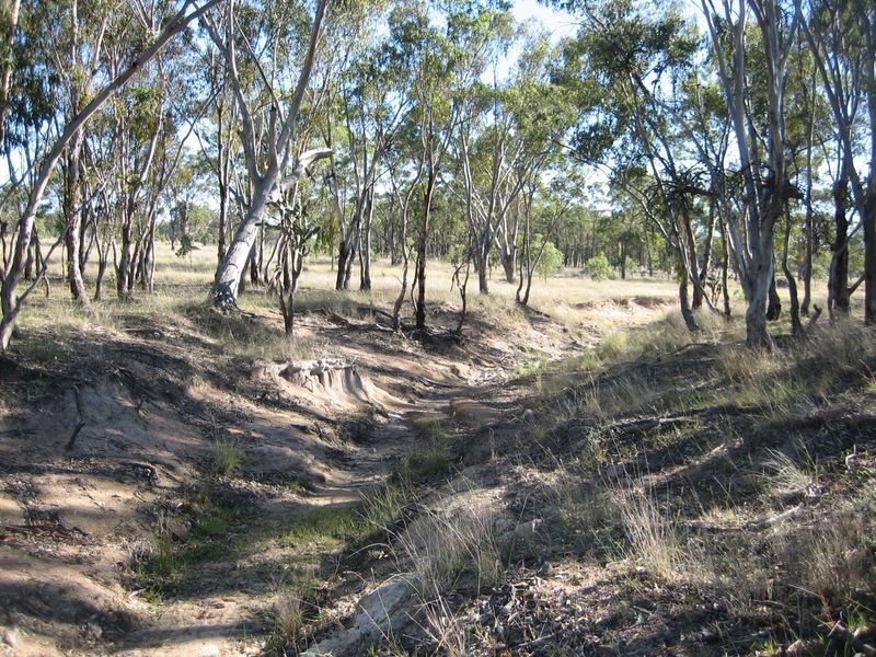 Warwick QLD 4370