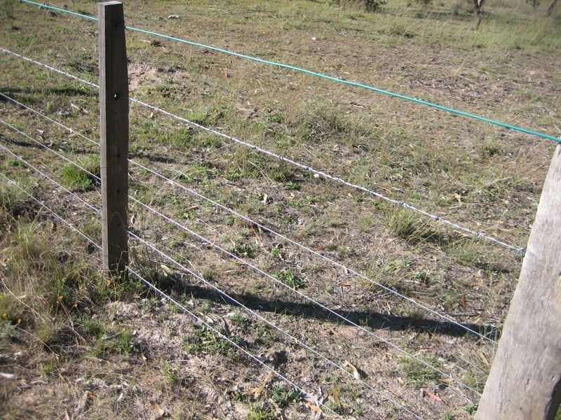Warwick QLD 4370