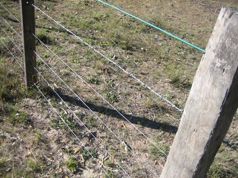 Warwick QLD 4370