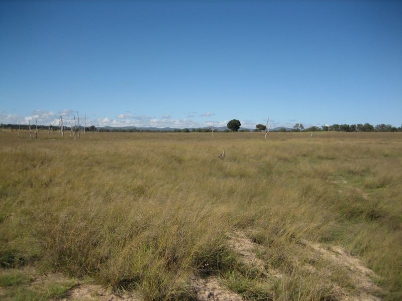 Warwick QLD 4370