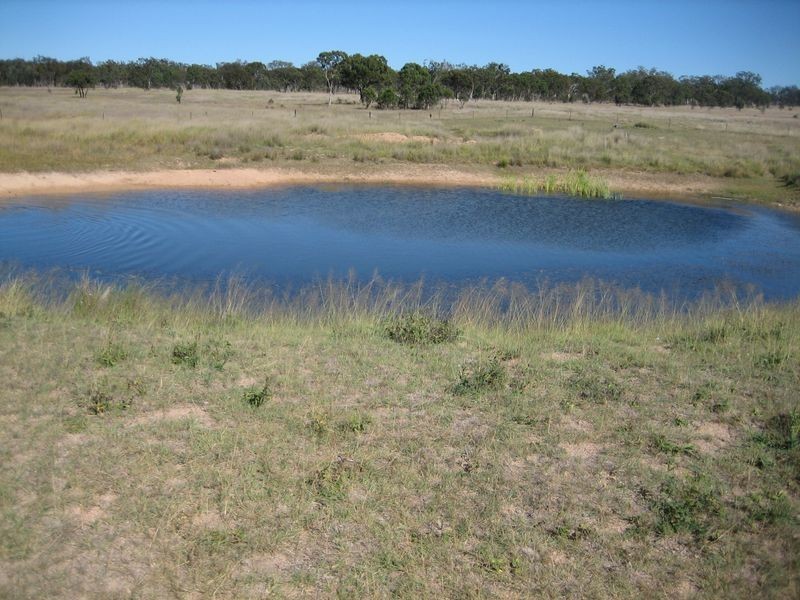 Warwick QLD 4370