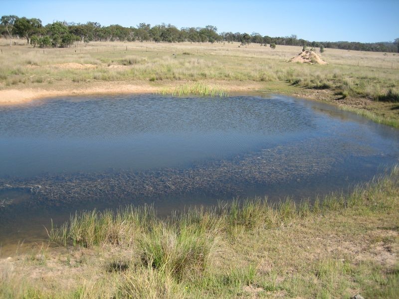 Warwick QLD 4370