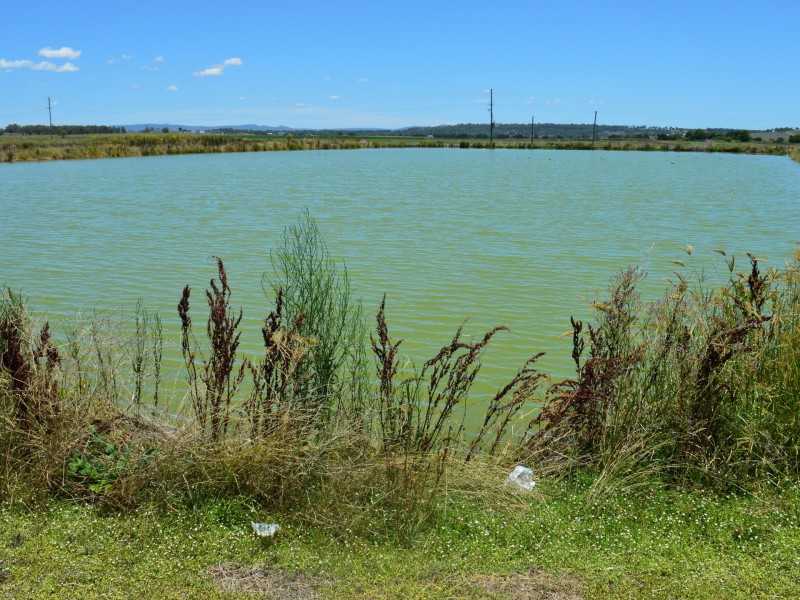 58 Backhouse Road, Killarney QLD 4373