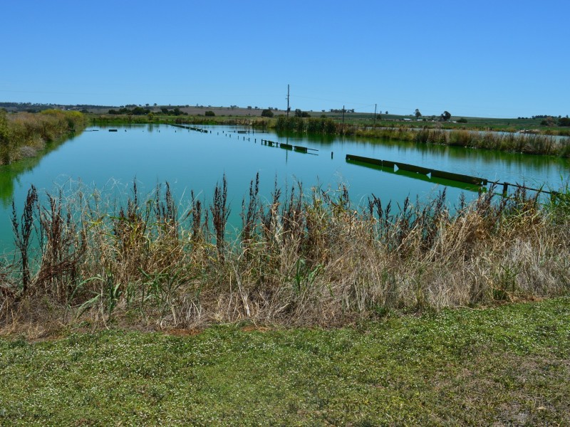 58 Backhouse Road, Killarney QLD 4373
