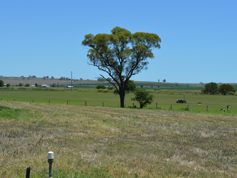 58 Backhouse Road, Killarney QLD 4373