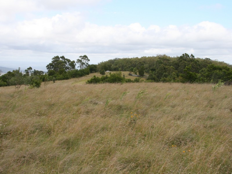 Lot 79 Sunday Plains Road, Mt Colliery via, Warwick QLD 4370
