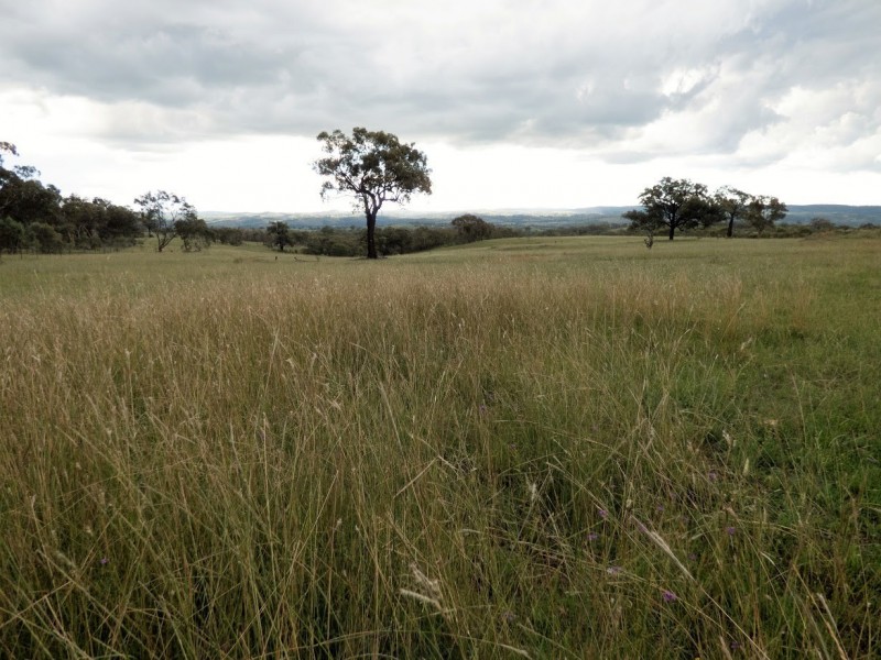 Lot 35 Springdale Road, Stanthorpe QLD 4380