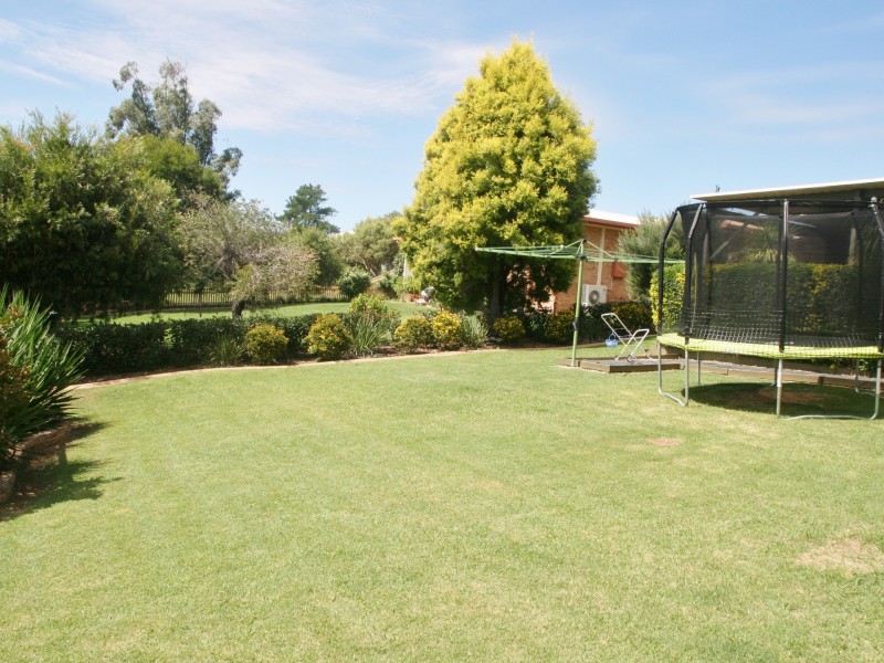 7 Willi Street, Warwick QLD 4370