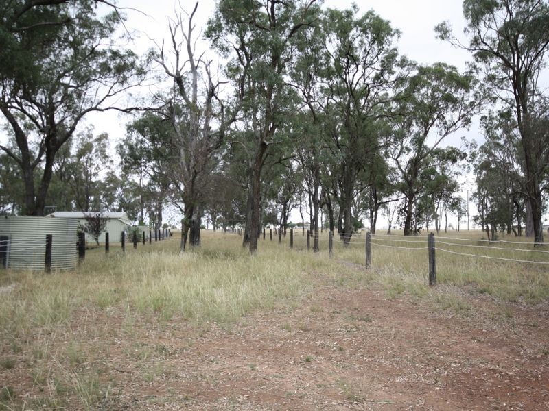 Warwick QLD 4370