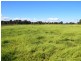 Lot 2 Leyburn-Cunningham Road, Wheatvale QLD 4370