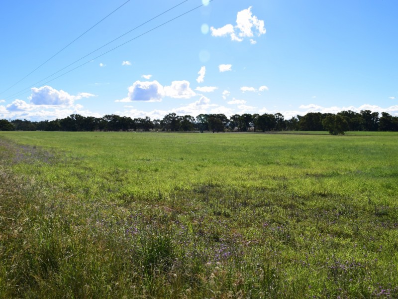 Lot 2 Leyburn-Cunningham Road, Wheatvale QLD 4370