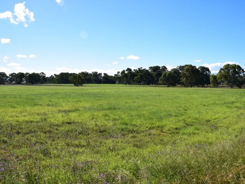 Lot 2 Leyburn-Cunningham Road, Wheatvale QLD 4370