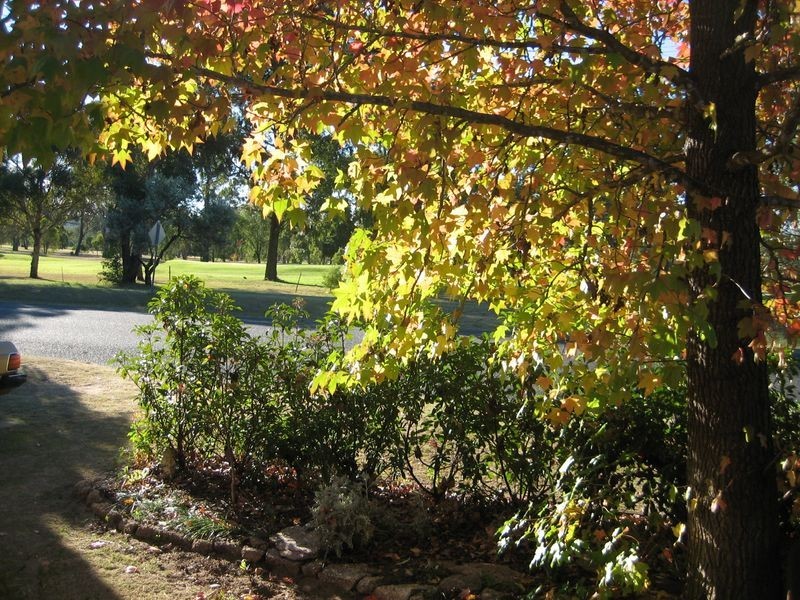 Warwick QLD 4370
