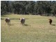 Eukey QLD 4380