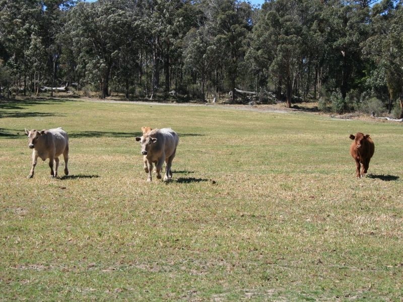 Eukey QLD 4380