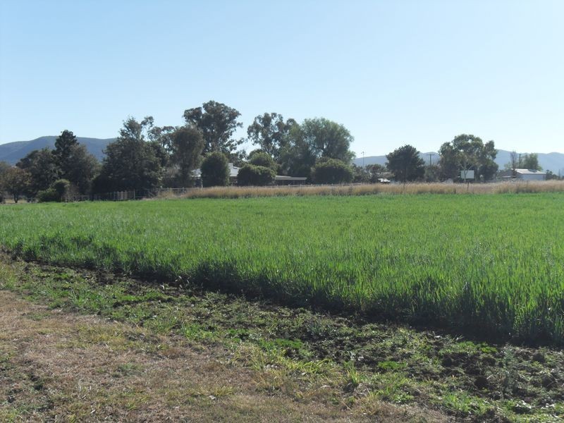 208 Markeys Lane, Yangan QLD 4371