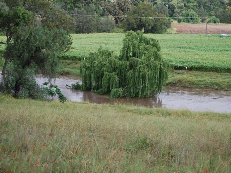 208 Markeys Lane, Yangan QLD 4371