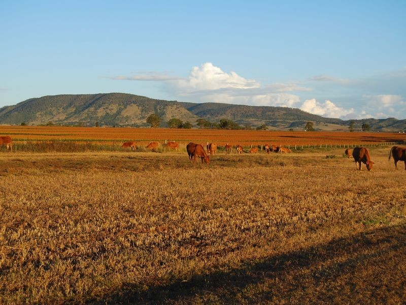 208 Markeys Lane, Yangan QLD 4371