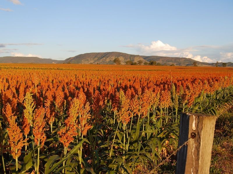 208 Markeys Lane, Yangan QLD 4371