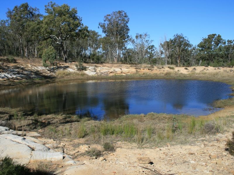 Warwick QLD 4370
