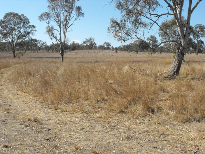 Warwick QLD 4370