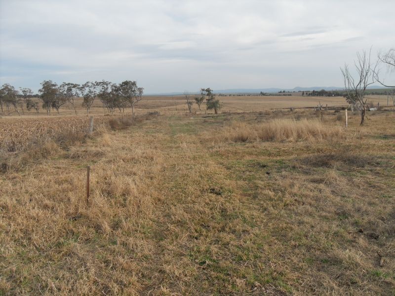 Warwick QLD 4370