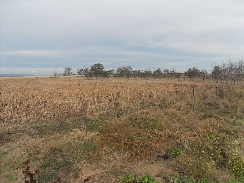 Warwick QLD 4370