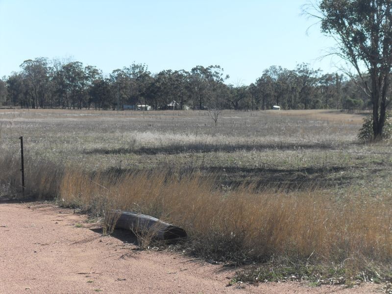 Warwick QLD 4370