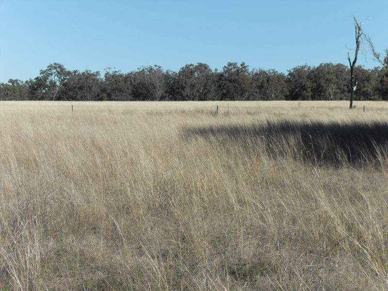 Warwick QLD 4370
